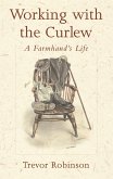 Working with the Curlew (eBook, ePUB)