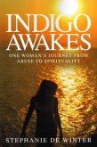 Indigo Awakes (eBook, ePUB)
