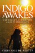 Indigo Awakes (eBook, PDF) - Bild 1