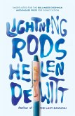 Lightning Rods (eBook, ePUB)