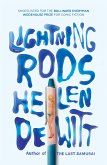 Lightning Rods (eBook, ePUB)