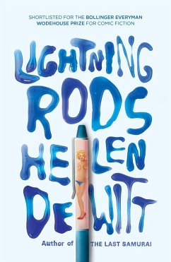 Lightning Rods (eBook, ePUB) - Dewitt, Helen