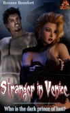 Stranger in Venice (eBook, ePUB)
