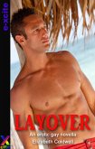 Layover (eBook, ePUB) Layover (eBook, ePUB)