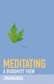 Meditating (eBook, ePUB)