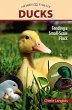 Ducks (eBook, ePUB) - Bild 1