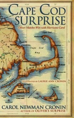 Cape Cod Surprise (eBook, ePUB) - Cronin, Carol Newman