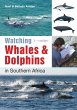 Watching Whales & Dolphins in Southern... - Bild 1