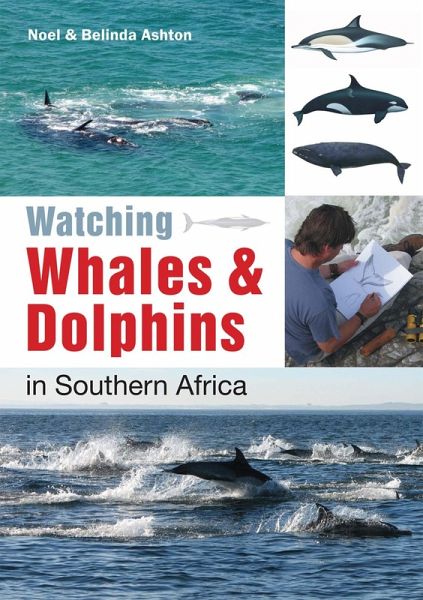 Watching Whales & Dolphins in Southern Africa (eBook, ePUB) Watching Whales & Dolphins in Southern Africa (eBook, ePUB)