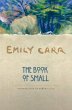 The Book of Small (eBook, ePUB) - Bild 1