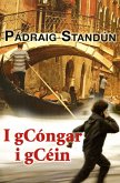 I gCóngar i gCéin (eBook, ePUB)