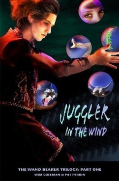 Juggler in the Wind (eBook, ePUB) - Coleman, Wim