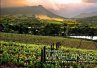 Picturesque Winelands (eBook, ePUB) - Bild 1