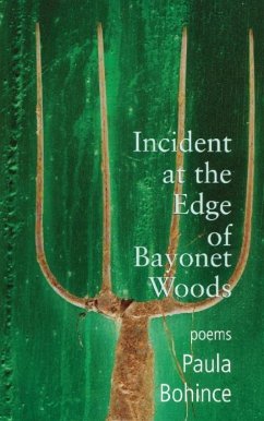 Incident at the Edge of Bayonet Woods (eBook, ePUB) - Bohince, Paula