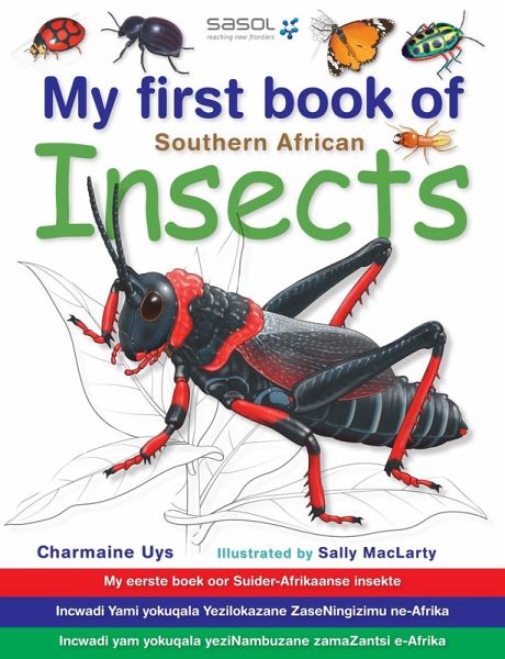 My First Book of Southern African Insects (eBook, ePUB)