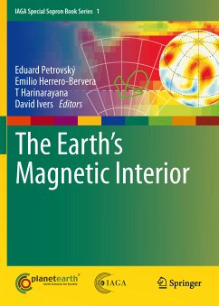 The Earth's Magnetic Interior (eBook, PDF)