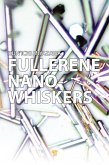 Fullerene Nanowhiskers (eBook, PDF) Fullerene Nanowhiskers (eBook, PDF)