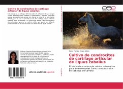 Cultivo de condrocitos de cartílago articular de Equus caballus - Vegas Albino, Diana Pamela