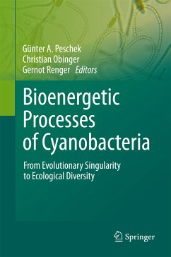 Bioenergetic Processes of Cyanobacteria (eBook, PDF)