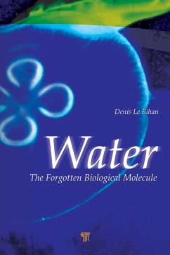 Cover Water (eBook, PDF)