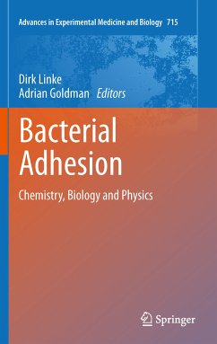 Bacterial Adhesion (eBook, PDF)