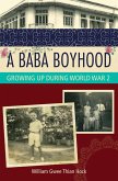 Baba Boyhood (eBook, ePUB)