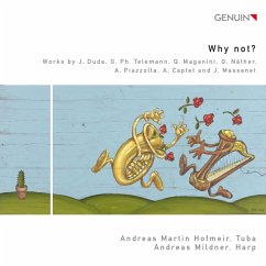 Why Not ?-Musik Für Tuba Und Harfe - Hofmeir,Andreas Martin/Mildner,Andreas