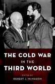 The Cold War in the Third World (eBook, ePUB)