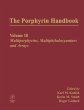 The Porphyrin Handbook (eBook, PDF) - Bild 1