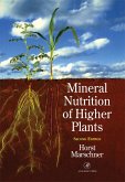 Mineral Nutrition of Higher Plants (eBook, PDF)