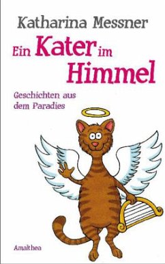 Ein Kater im Himmel - Messner, Katharina