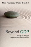 Beyond GDP (eBook, ePUB)