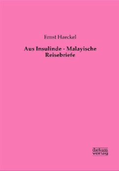 Cover Aus Insulinde - Malayische Reisebriefe