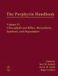 The Porphyrin Handbook (eBook, PDF) - Bild 1