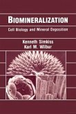 Biomineralization (eBook, PDF)