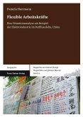 Flexible Arbeitskräfte (eBook, PDF) Flexible Arbeitskräfte (eBook, PDF)