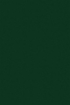 Changing Syntheses in Development (eBook, PDF)