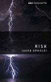Risk (eBook, ePUB)