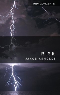 Risk (eBook, ePUB) - Arnoldi, Jakob