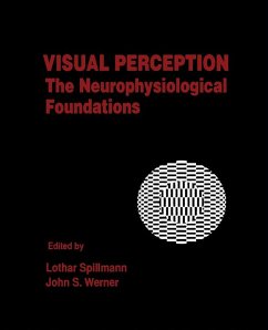 Visual Perception (eBook, PDF)