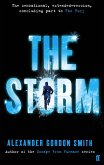 The Storm (eBook, ePUB)