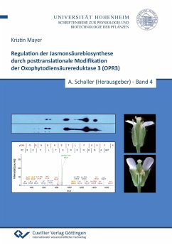 Regulation der Jasmonsäurebiosynthese durch posttranslationale Modifikation der Oxophytodiensäurereduktase 3 (OPR3) (Band 4) - Mayer, Kristin