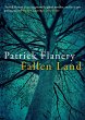 Fallen Land (eBook, ePUB) - Bild 1