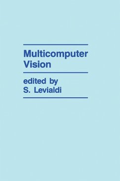 Multicomputer Vision (eBook, PDF)