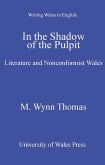 In the Shadow of the Pulpit (eBook, PDF)