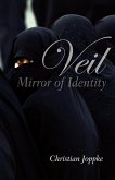Veil (eBook, PDF)