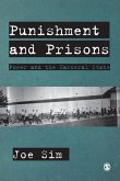 Punishment and Prisons (eBook, PDF)