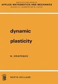 Dynamic Plasticity (eBook, PDF)