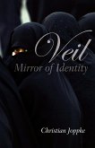 Veil (eBook, ePUB)