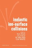Inelastic Ion-Surface Collisions (eBook, PDF)